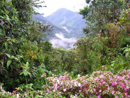 Mountain View at Bellavista