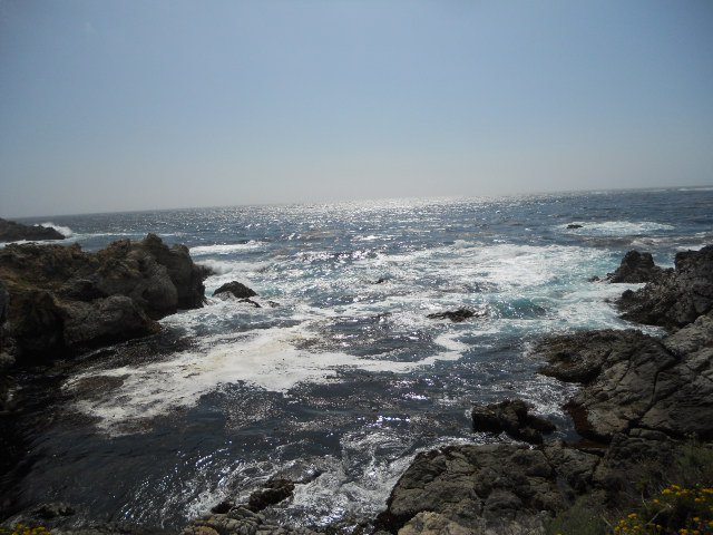 Point Lobos State Park