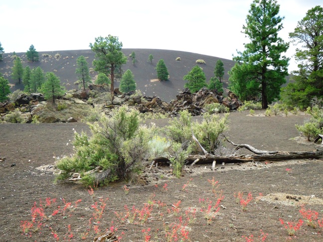 lava fields