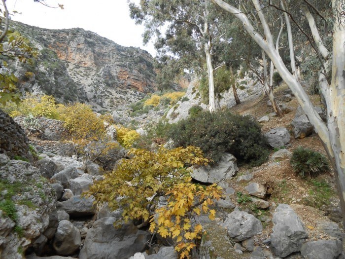 Talassemetane National Park in chefchaouen