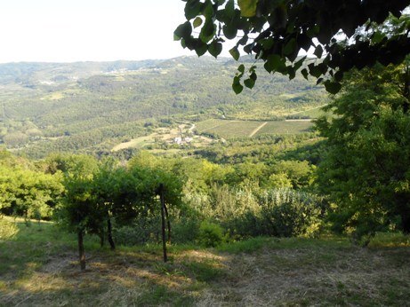 overlook at motovun croatia