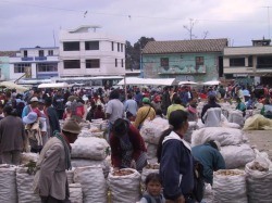 Local Market Scene