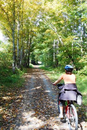 Virginia creeper discount trail bike shop