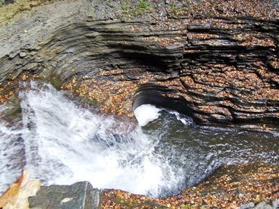 Peering into the gorge at Watkins Glen things to do in rochester ny