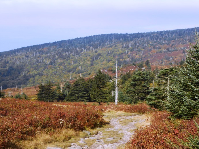 grayson highlands fall best hikes in virginia