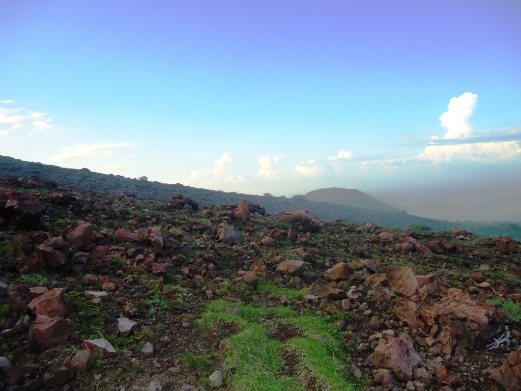 The scenery on the way up was interesting, even if it wasn't gorgeous.