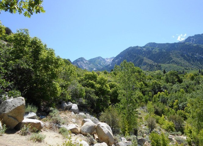 Cottonwood Canyon 2