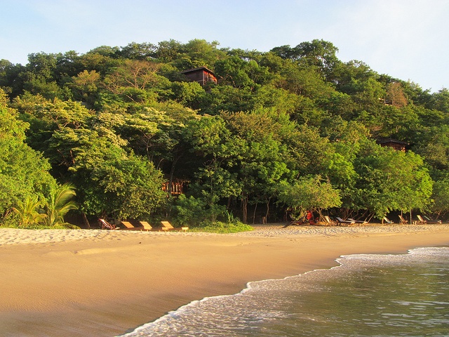 Resort rooms hidden in the trees -- Photo by mountaintrekker2001