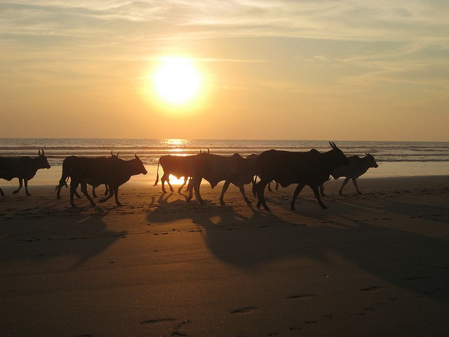 Sunset at Jiquilillo -- photo by ashabot