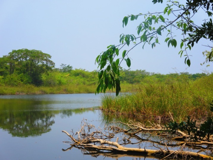 estacion biologica las guacamayas guatemala