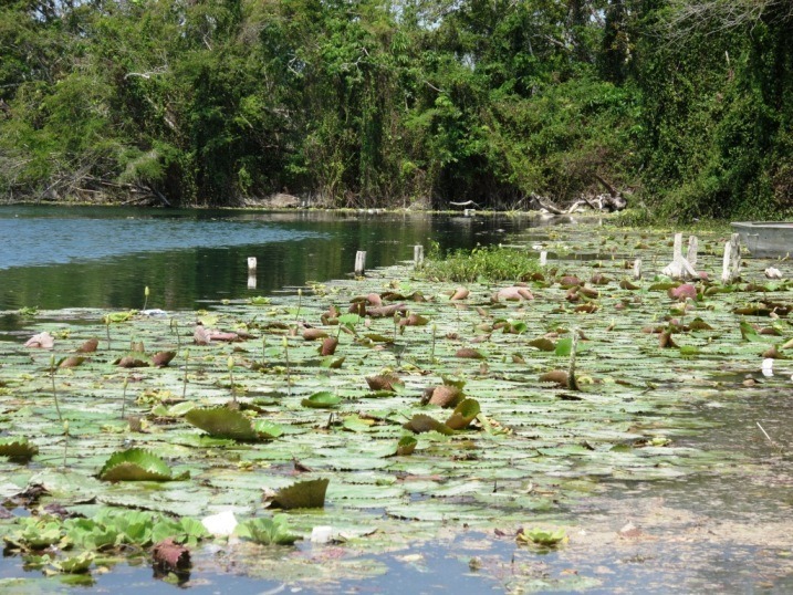 Views along the river