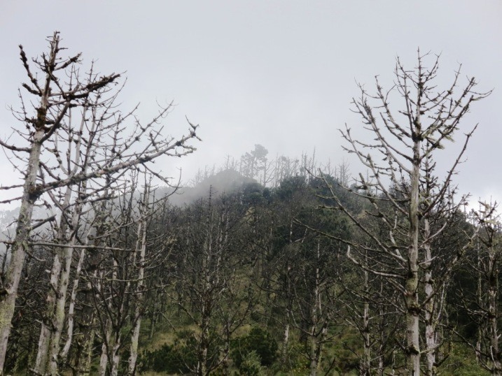 Hiking to the summit of Acatenango Volcano near Antigua Guatemala.