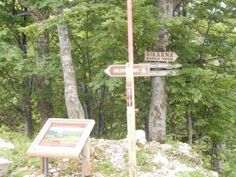 cheese bohinj slovenia