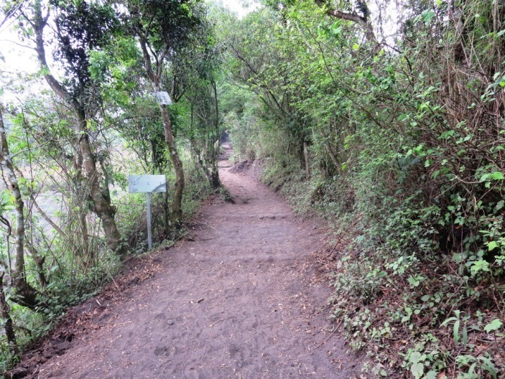 pacaya volcano guatemala trail hike