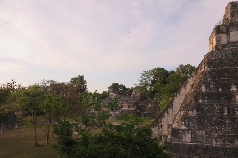 tikal pyramids