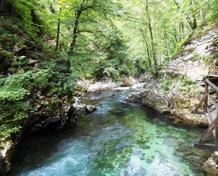 vintgar gorge lake bled slovenia