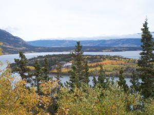 alaska cruise skagway yukon tour