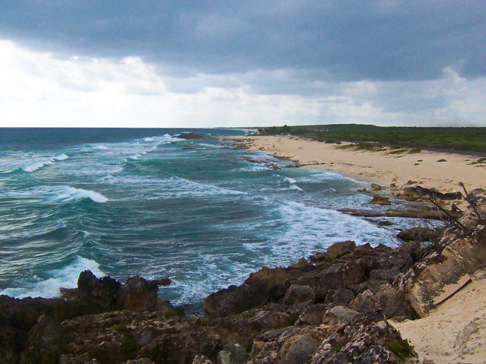 east side wild side beach