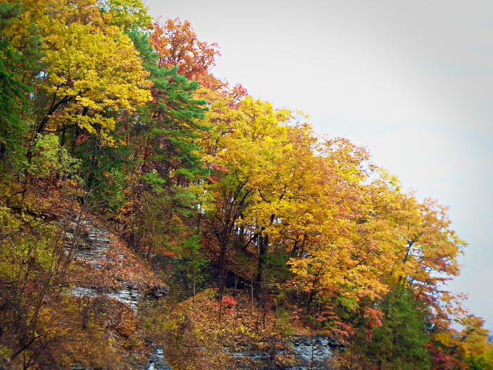 fall in the finger lakes-1-01