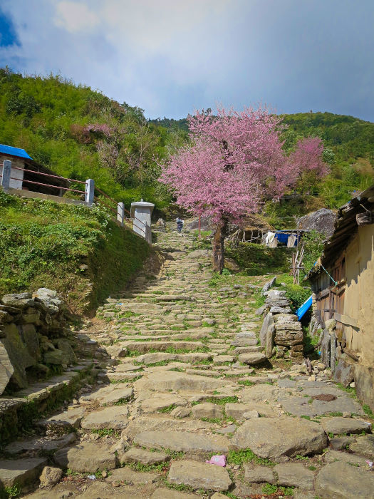 stone staircase along ghorepani poon hill trek in nepal