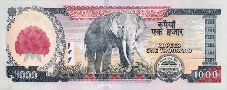 nepal rupees