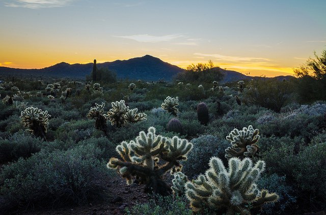 fun things to do in phoenix az