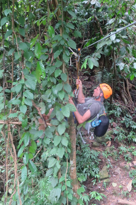 vang vieng challenge zipline laos