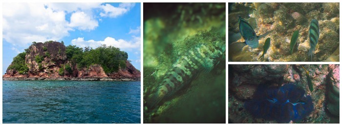 snorkeling hong island things to do krabi ao nang beach