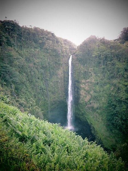 akaka falls the big island hawaii