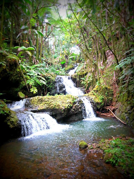 Pepe’ekeo Scenic Drive the big island hawaii