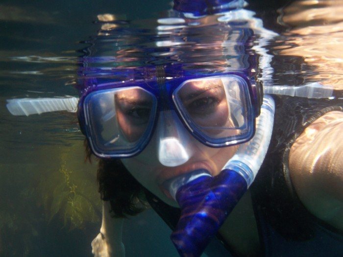 snorkeling channel islands