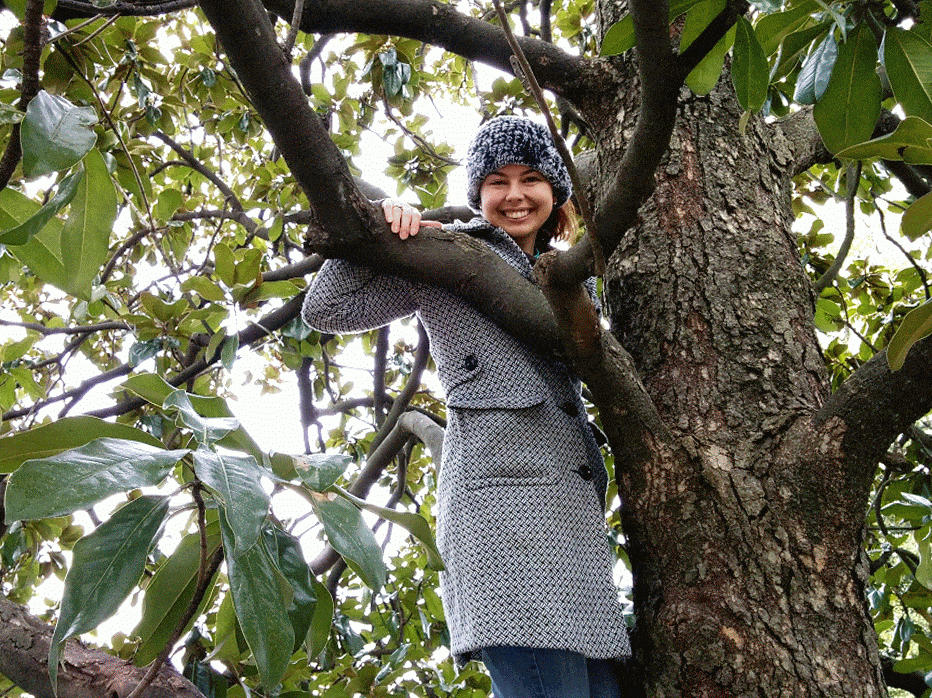 climbing tree near vmfa