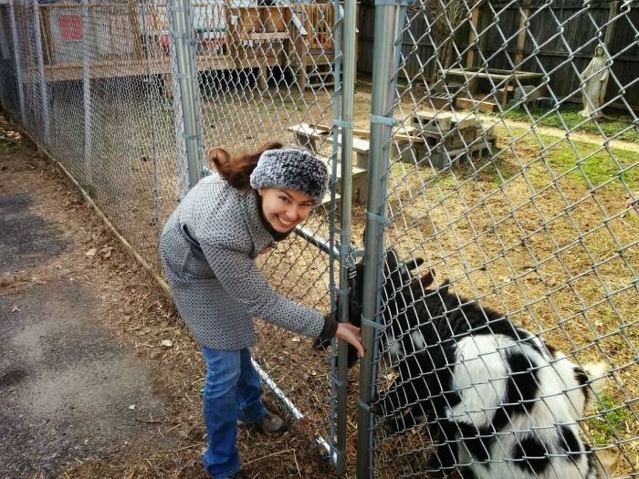 girl with goats