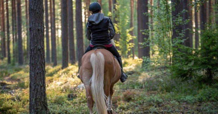 girl on horseback