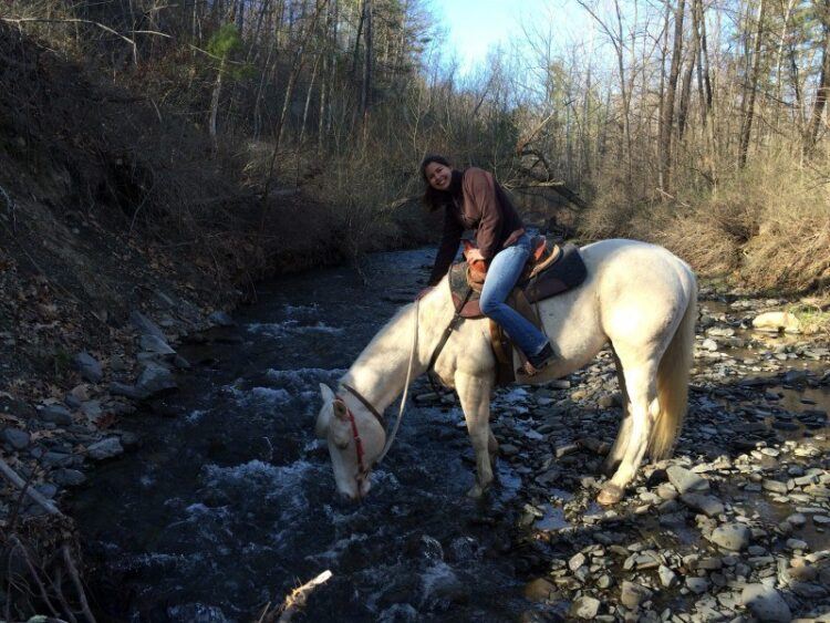 Horseback Riding in the Finger Lakes — sightDOING