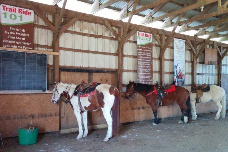 horseback riding in the finger lakes