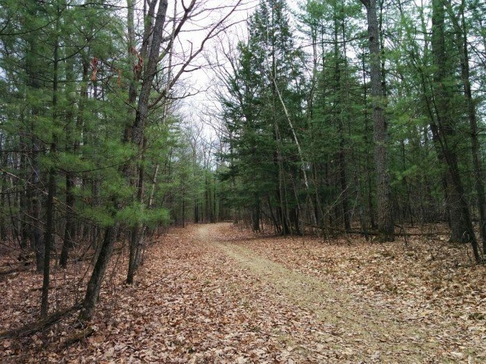 Spencer Crest Nature Center corning ny