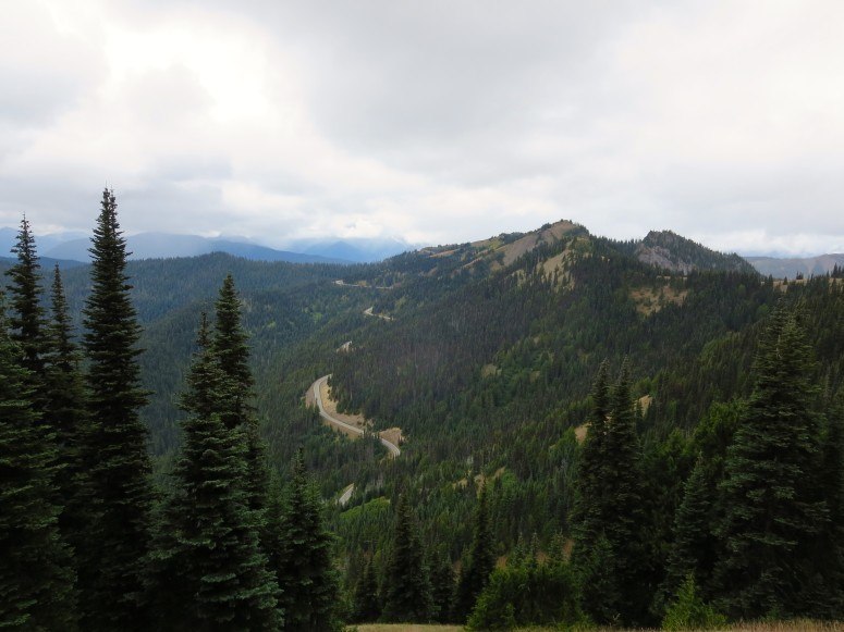 Hurricane Ridge | Olympic National Park | Olympic Peninsula