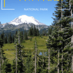 Planning a day trip to Mount Rainier from Seattle is a great outdoor option, especially in the summer. See how beautiful it is and plan a family trip.