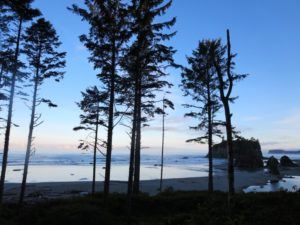Just after sunrise on Ruby Beach olympic national park