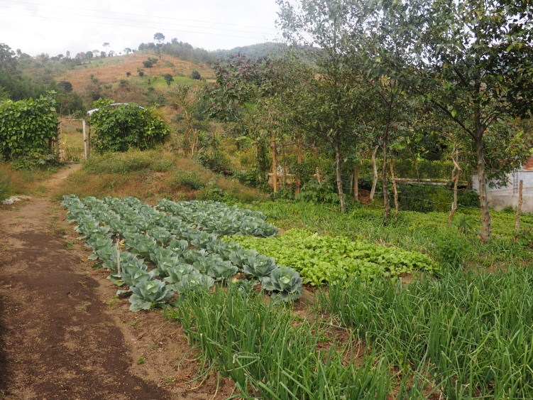 One of the community gardens started by Small Change 4 Big Change