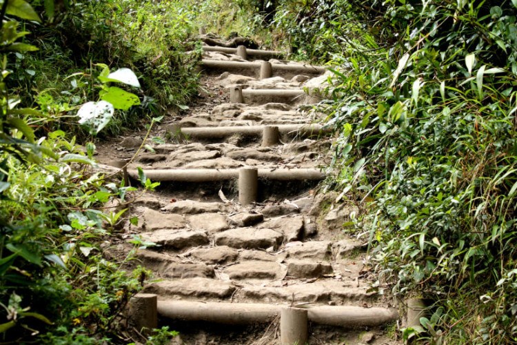 The uphill climb at Quebrada La Vieja bogota colombia hike