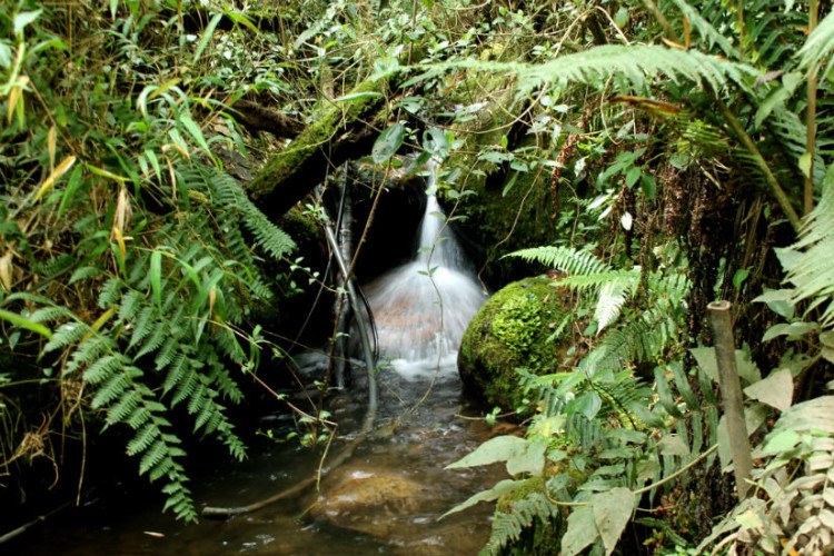 quebrada la vieja bogota hike waterfalls