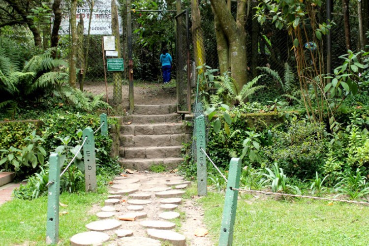 entrance stairs to quebrada la vieja hike