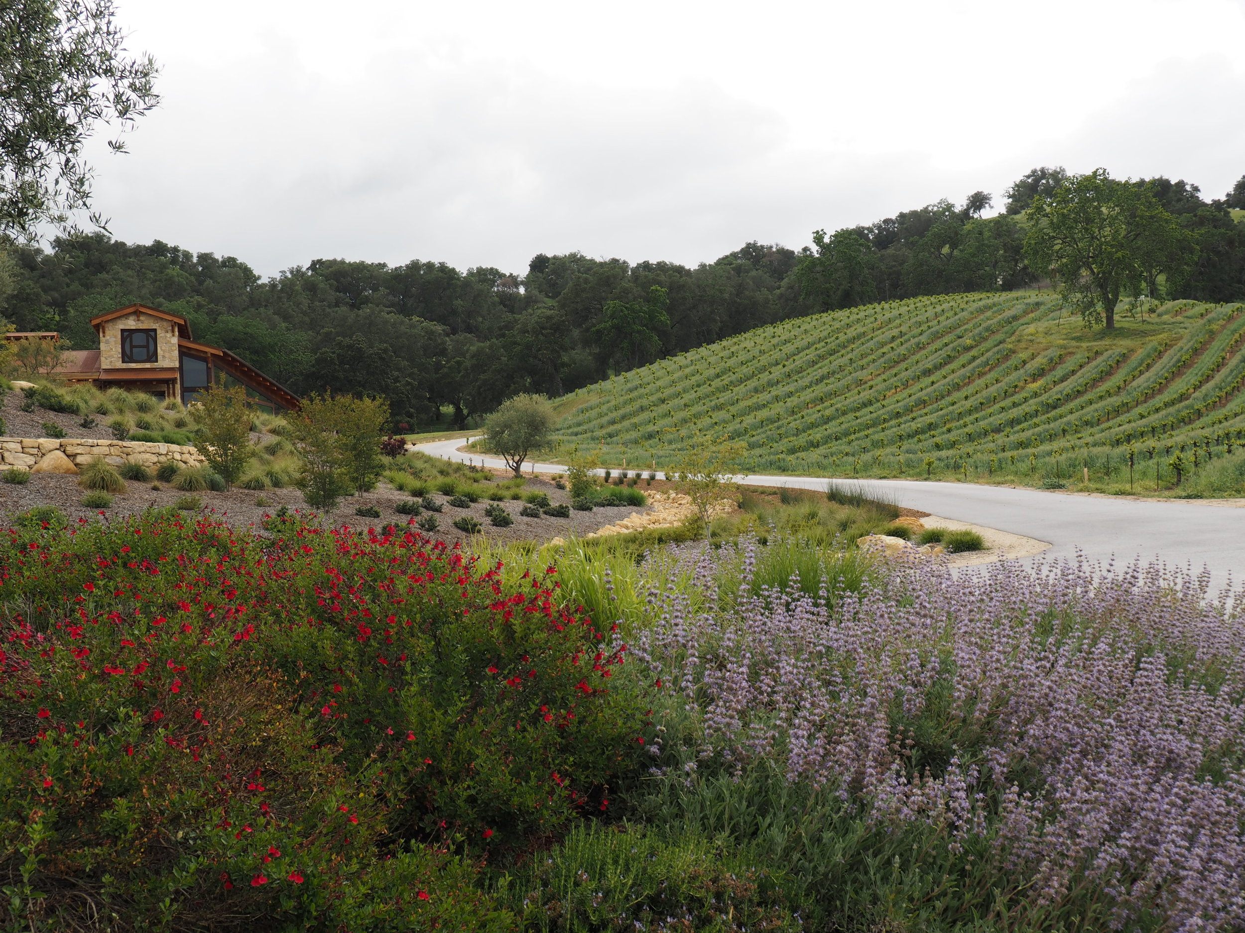 wine tasting in paso robles / entrance to halter ranch vineyard excursion tour