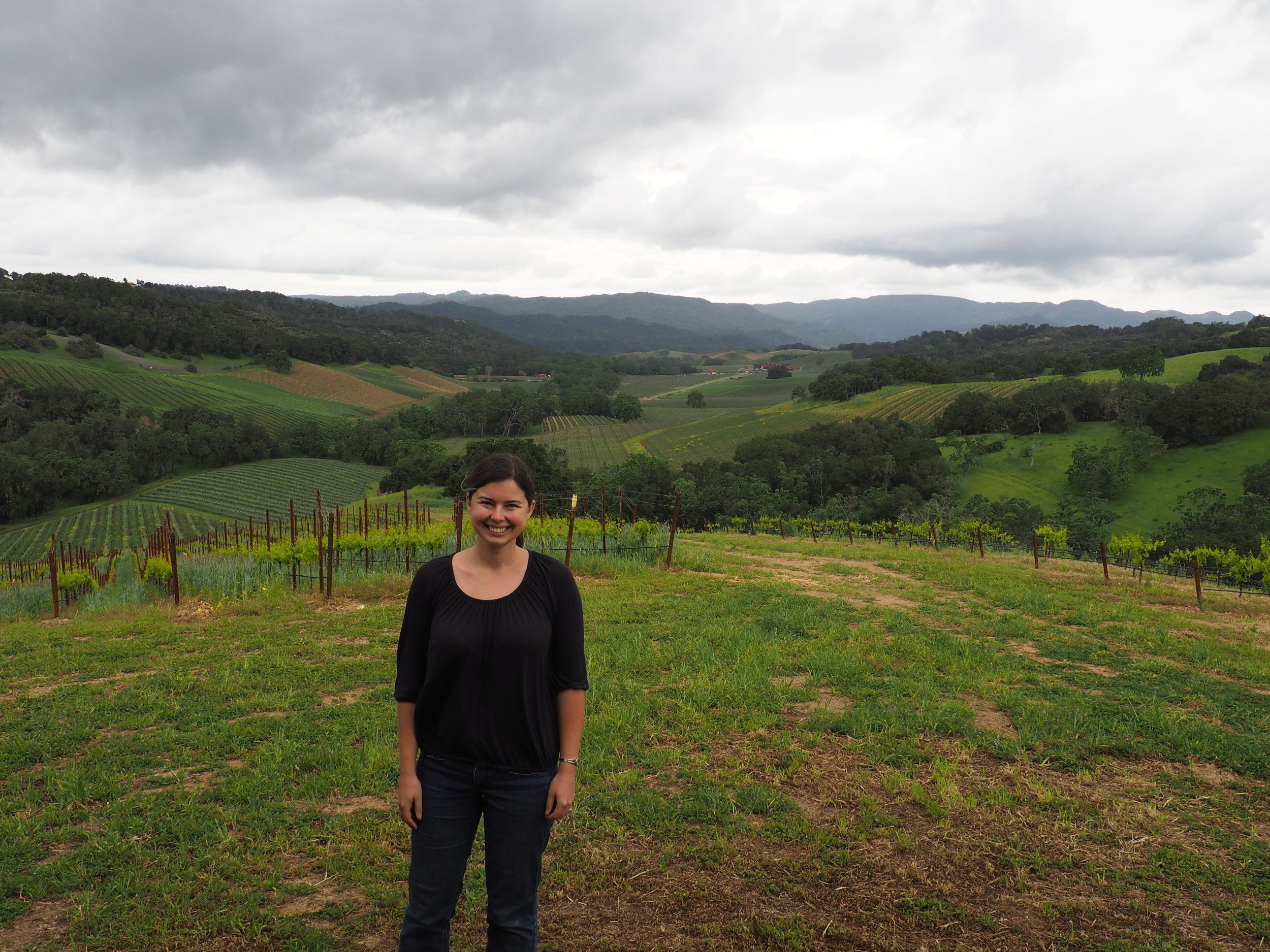 wine tasting in paso robles / lion's ridge at halter ranch vineyard excursion tour