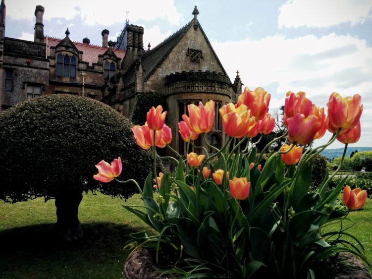 tyntesfield estate bristol england / things to do in bristol uk / bristol united kingdom