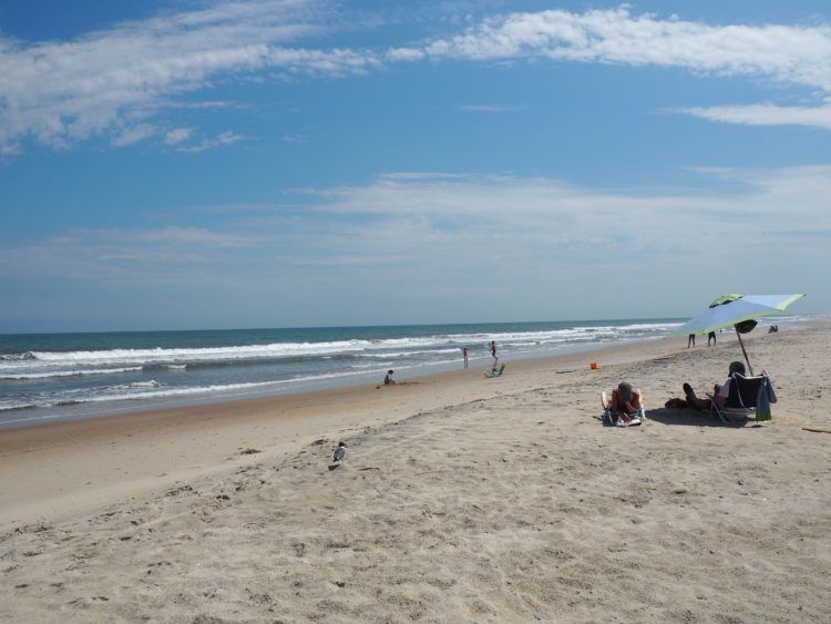 assateague beach chincoteague