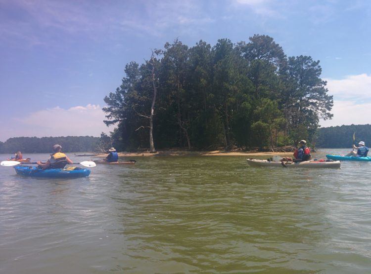 CHATHAM VINEYARD kayak trip review southeast expeditions