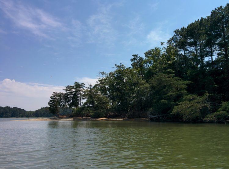 CHATHAM VINEYARD kayak 2